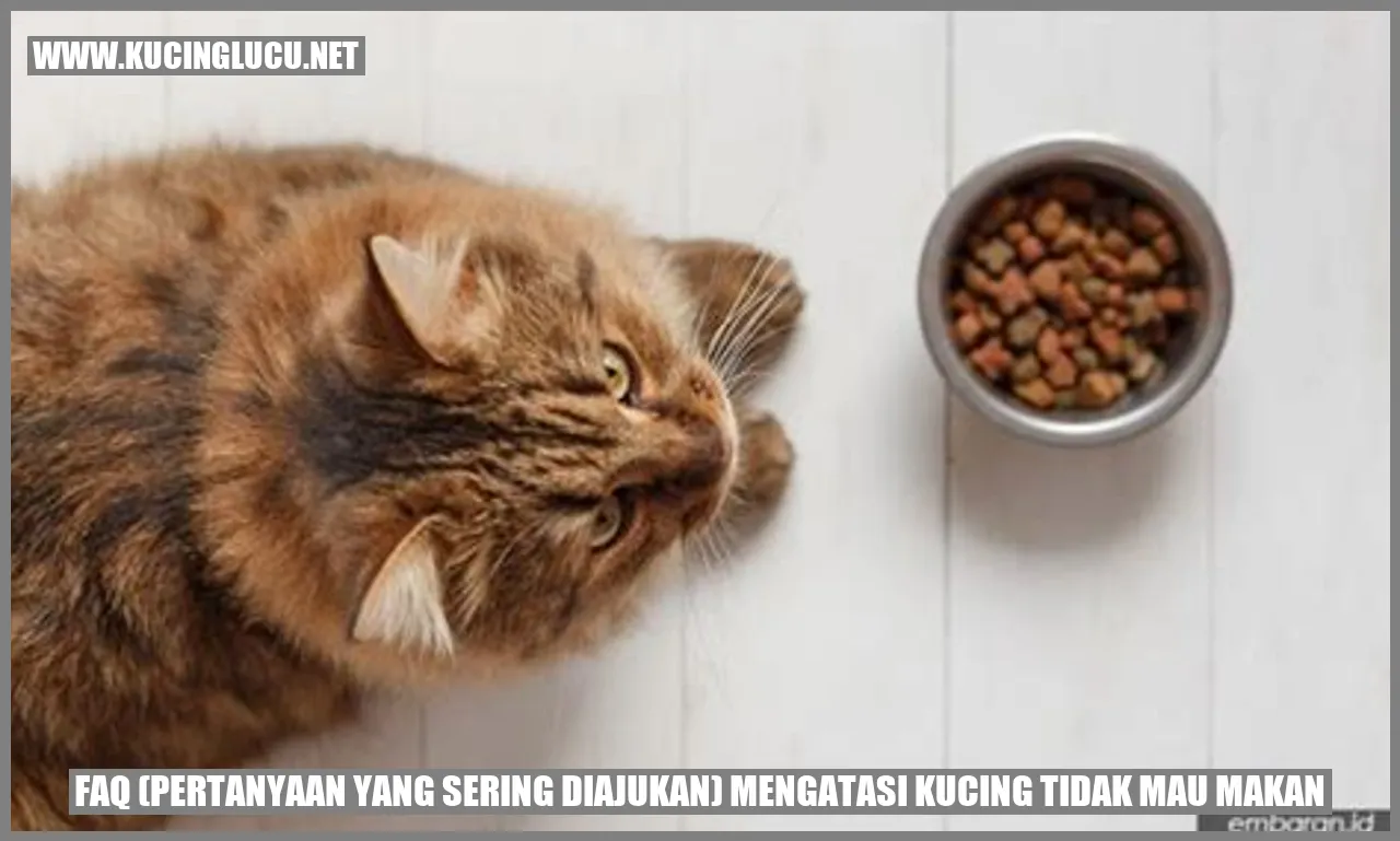 Ilustrasi Kucing yang Enggan Makan
