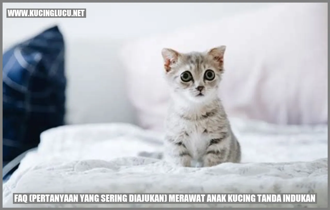 Gambar FAQ (Pertanyaan yang Sering Diajukan) Merawat Anak Kucing
