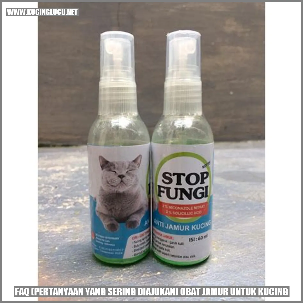 Obat Jamur untuk Kucing