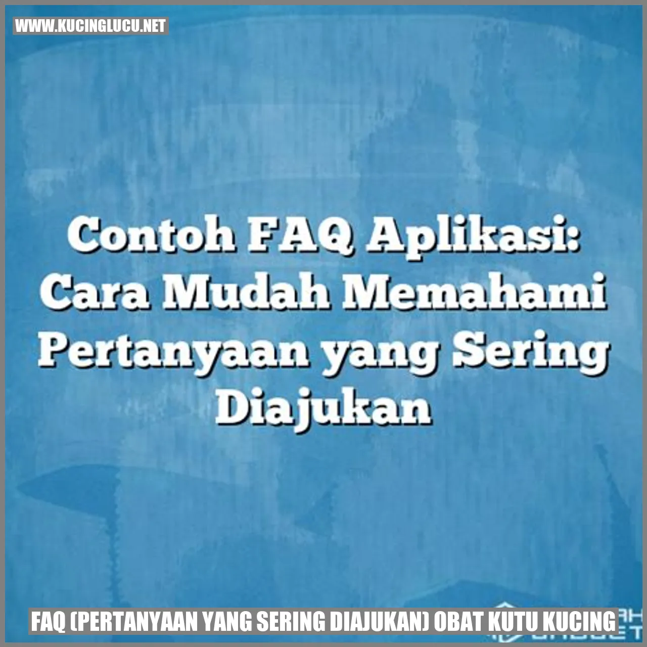 FAQ Obat Kutu Kucing