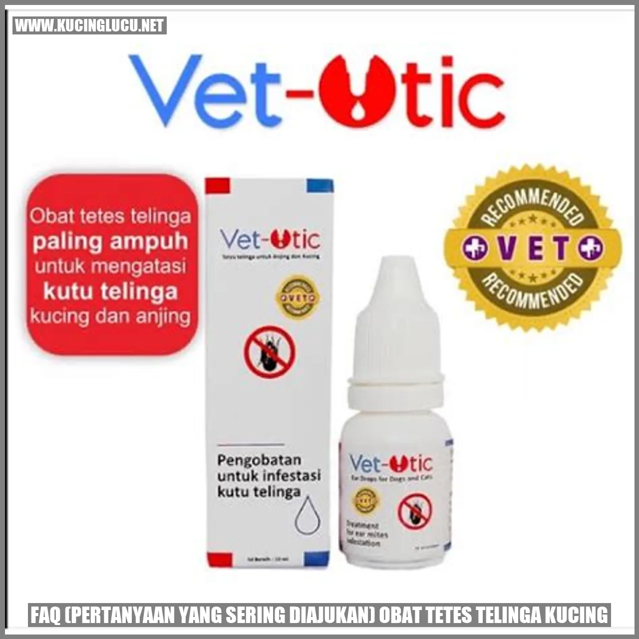 Pertanyaan yang Sering Diajukan tentang Obat Tetes Telinga Kucing