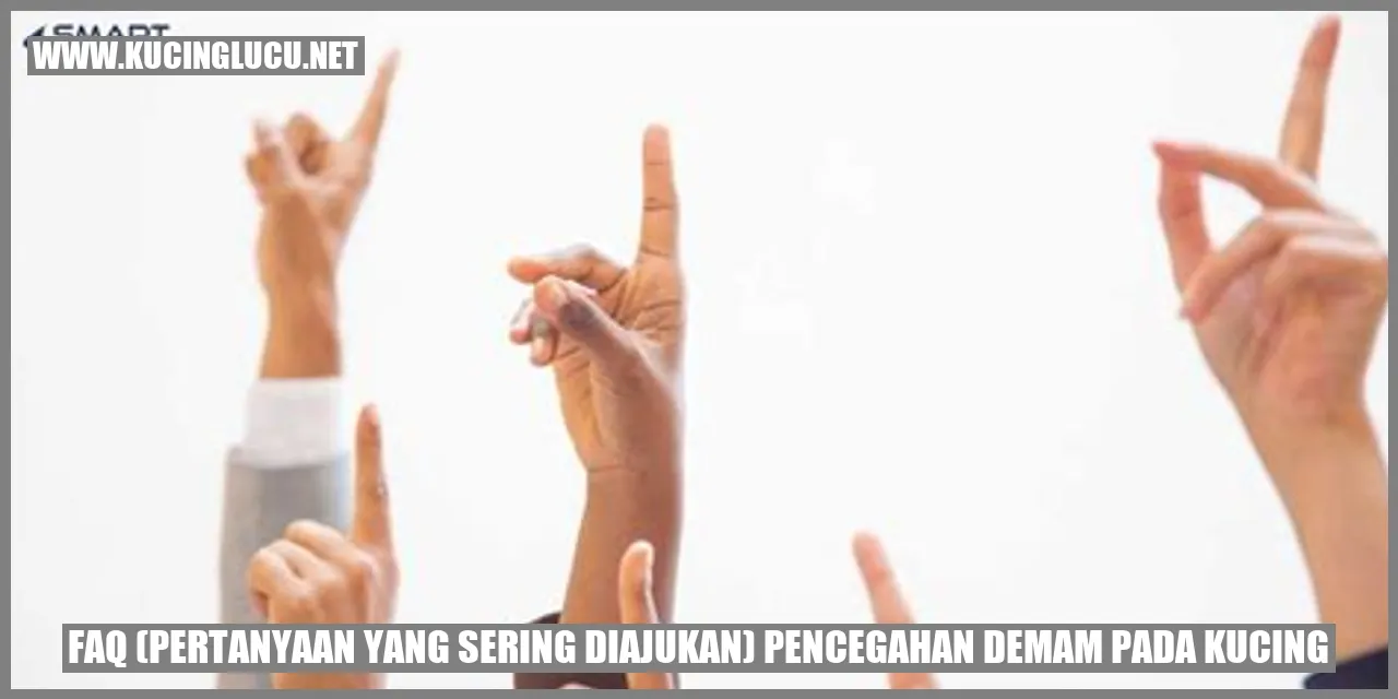 Gambar Kucing