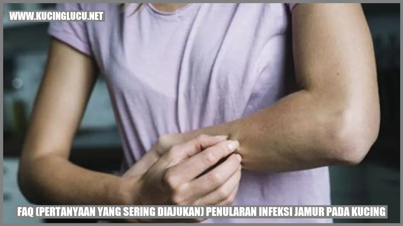 FAQ Penularan Infeksi Jamur pada Kucing