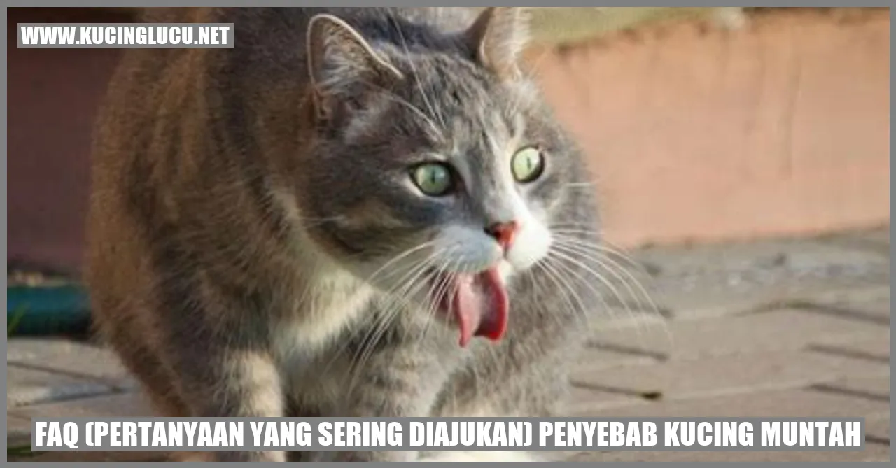 Gambar Kucing Muntah