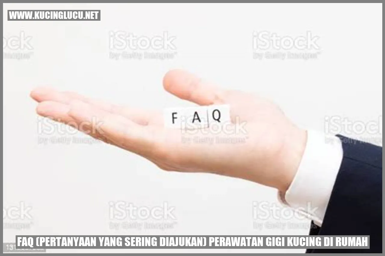 Perawatan Gigi Kucing di Rumah