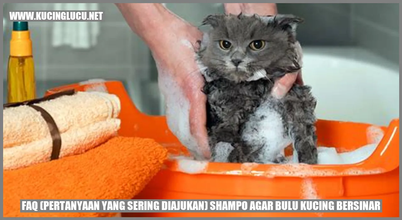 FAQ: Metode Menjadikan Bulu Kucing Bersinar dengan Shampo
