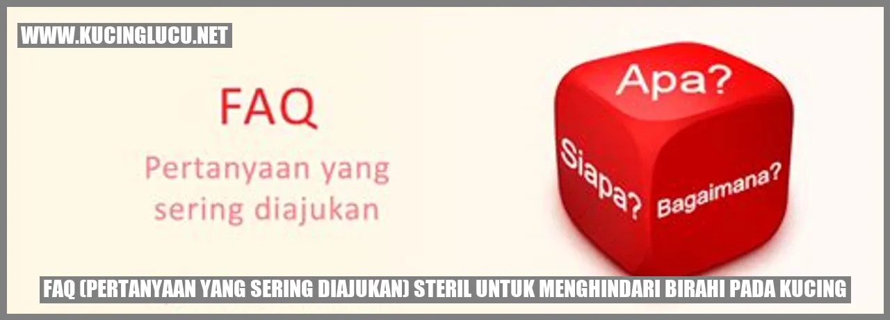 Kucing steril