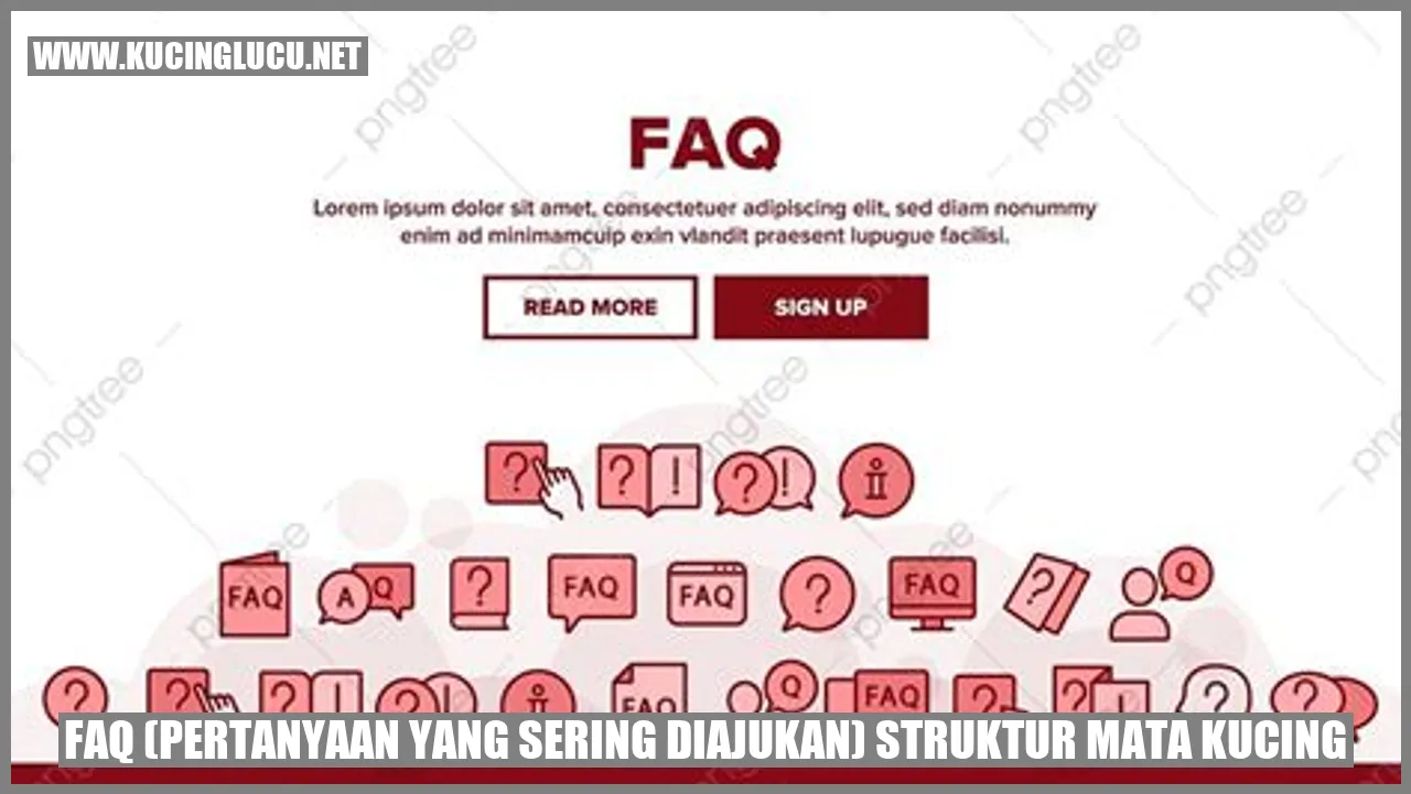 Struktur Mata Kucing