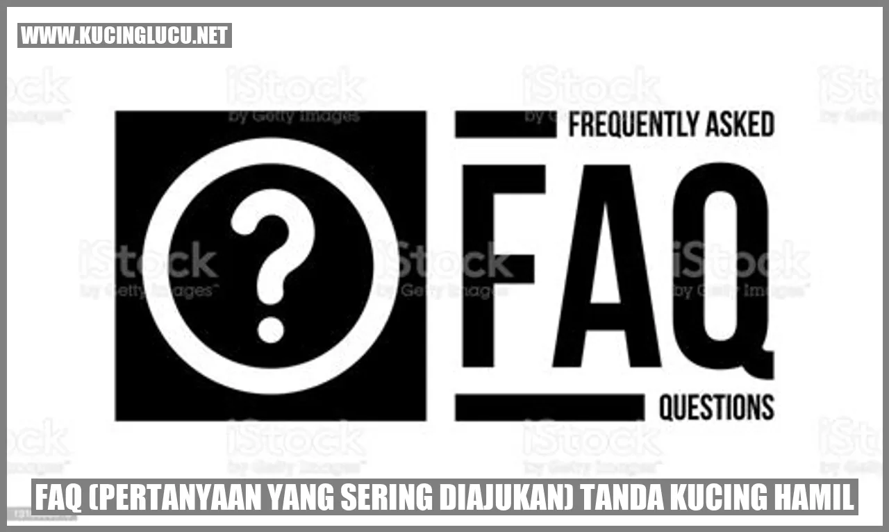 Gambar kucing hamil