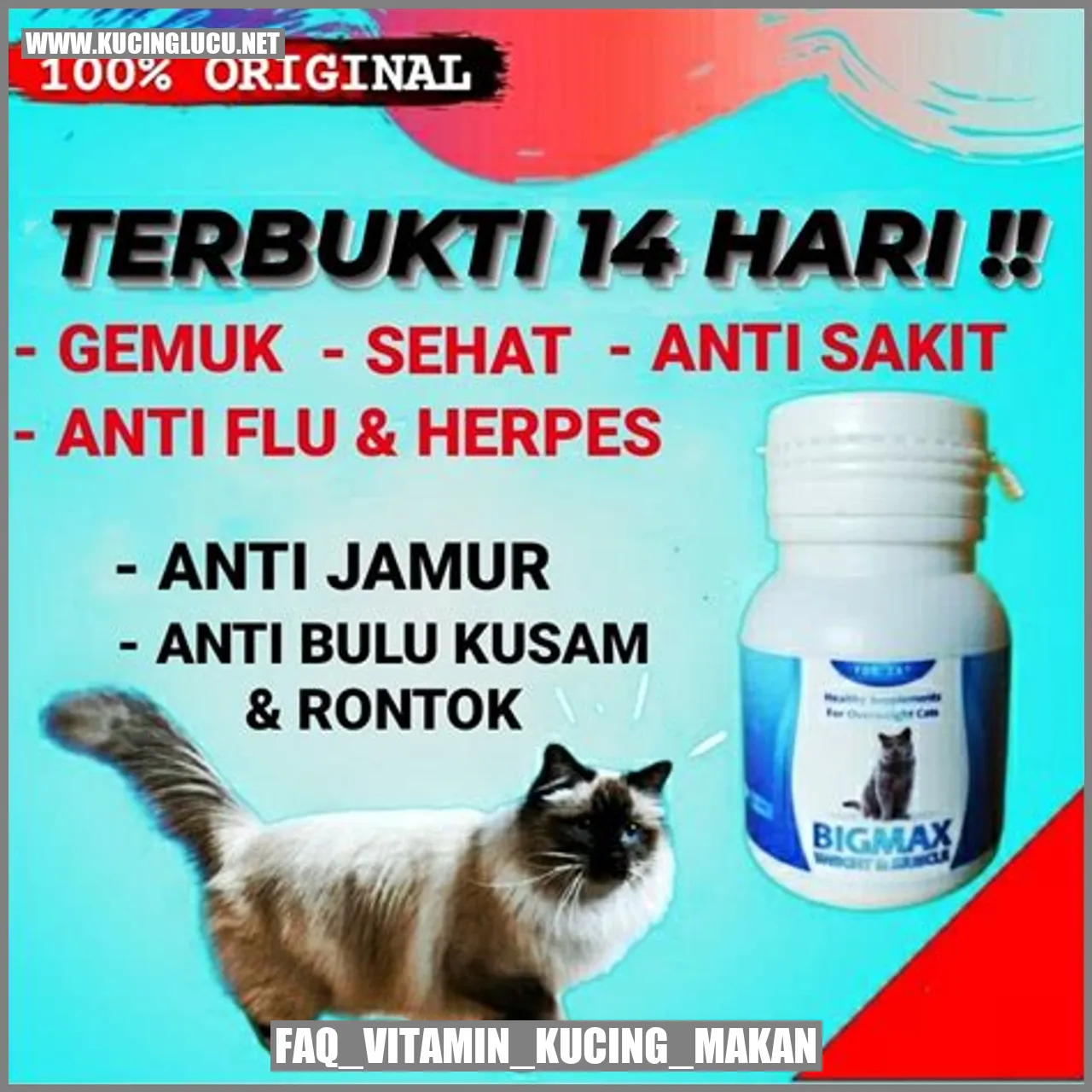Vitamin untuk Meningkatkan Nafsu Makan Kucing