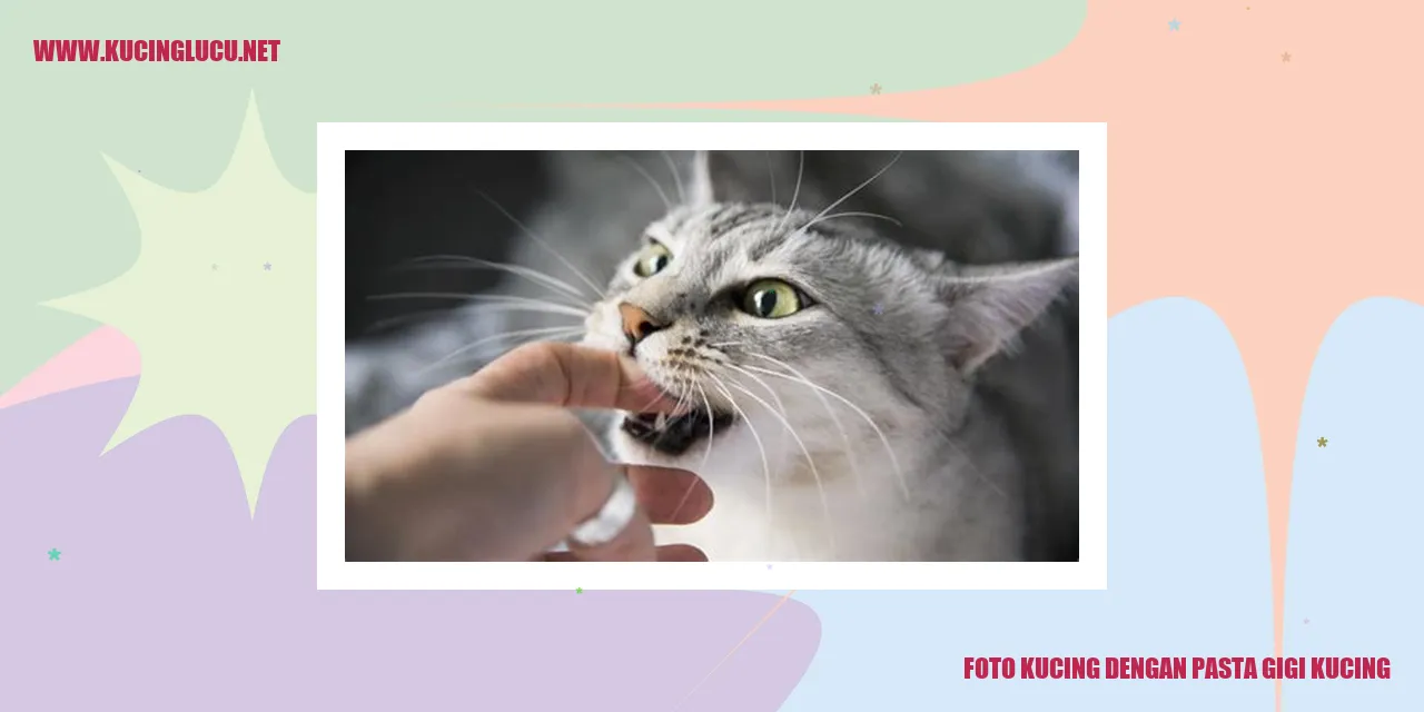 Gambar kucing menggunakan pasta gigi khusus