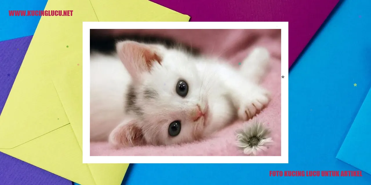 Kucing sebagai Hewan Peliharaan
