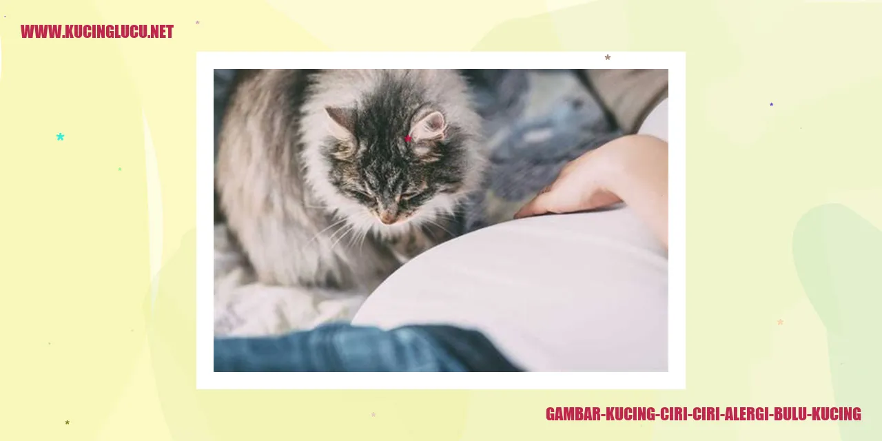 Pengenalan tentang Kucing dan Ciri-ciri Orang yang Alergi terhadap Bulu Kucing