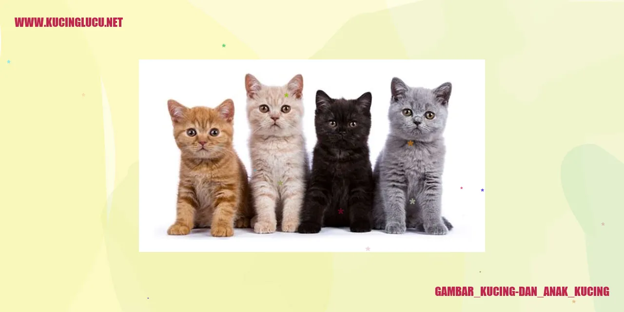 Ilustrasi kucing dan anak kucing