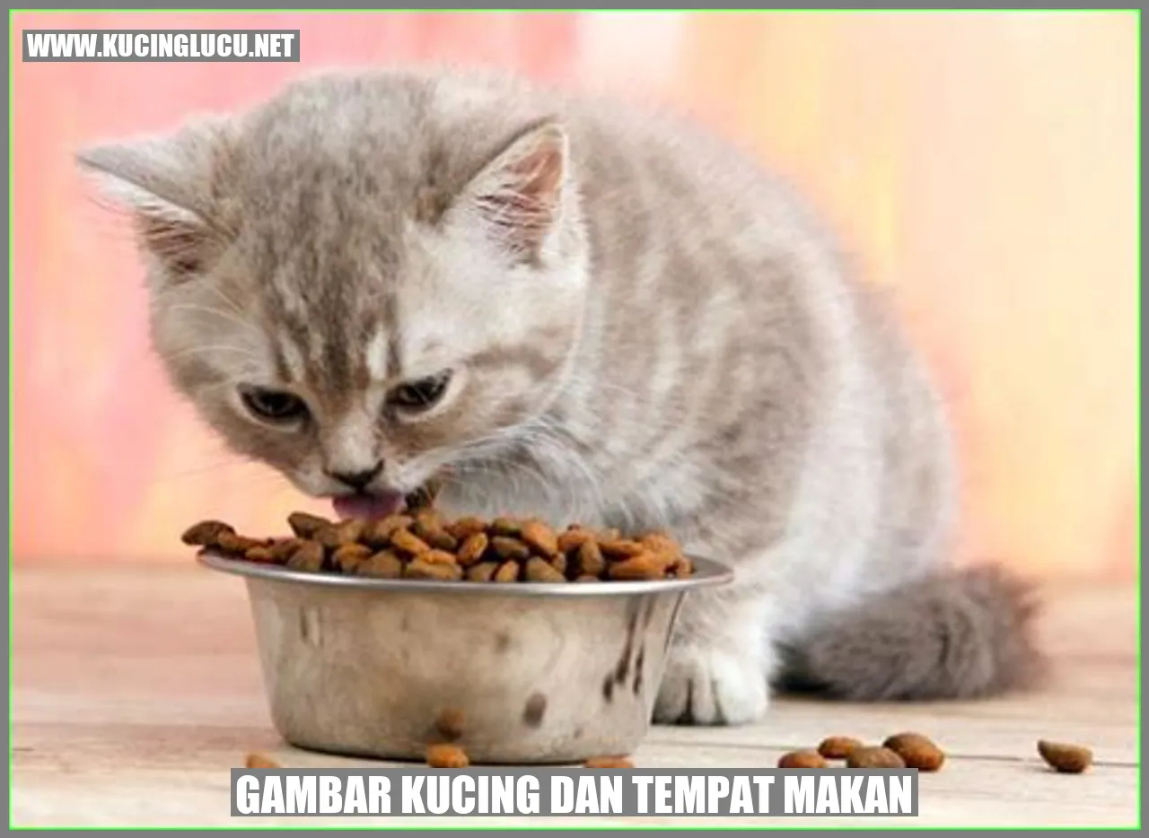 Kucing bersama tempat makan