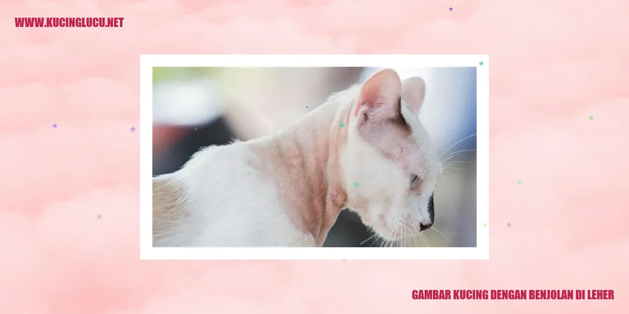 Gambar Kucing dengan Benjolan di Leher