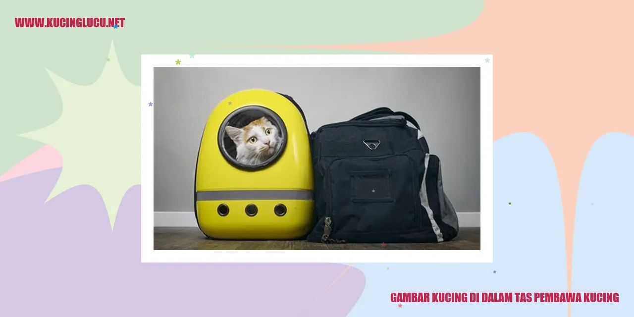 Tas Pembawa Kucing