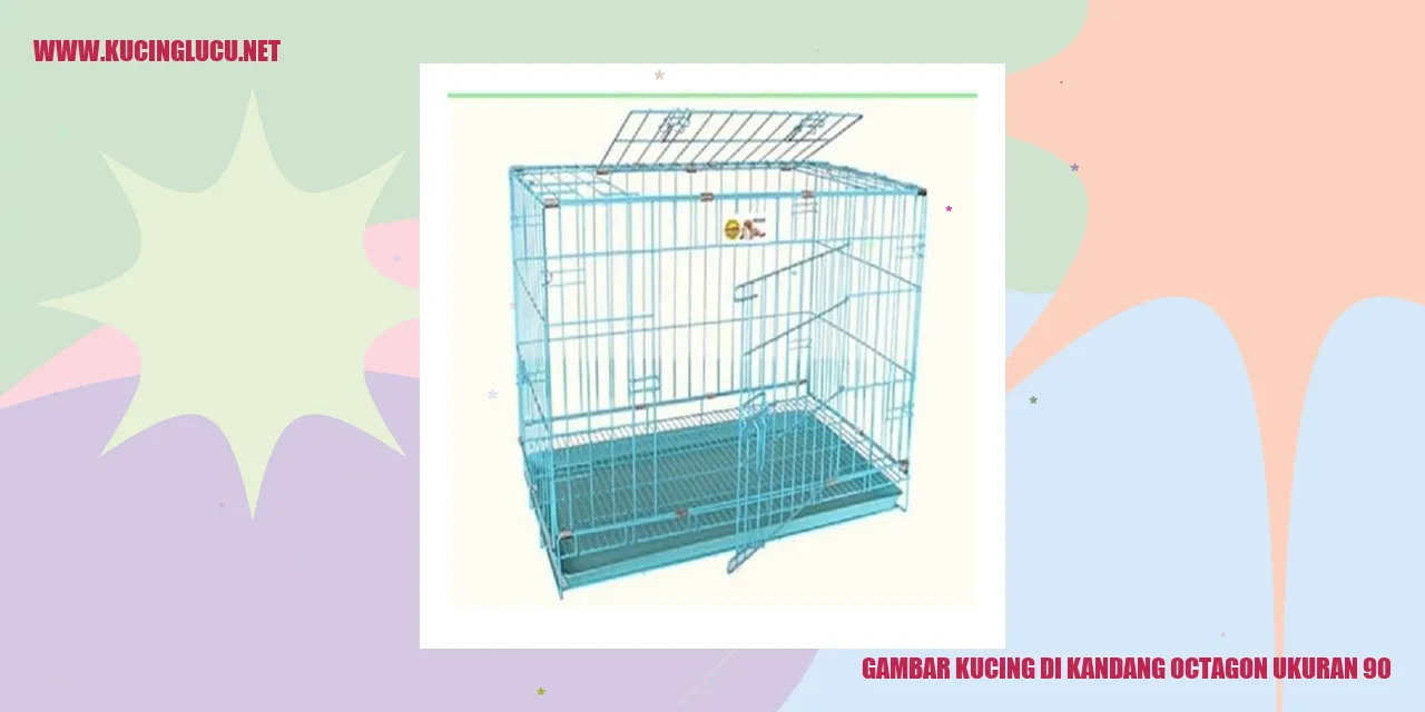 Gambar Kucing di Kandang Octagon