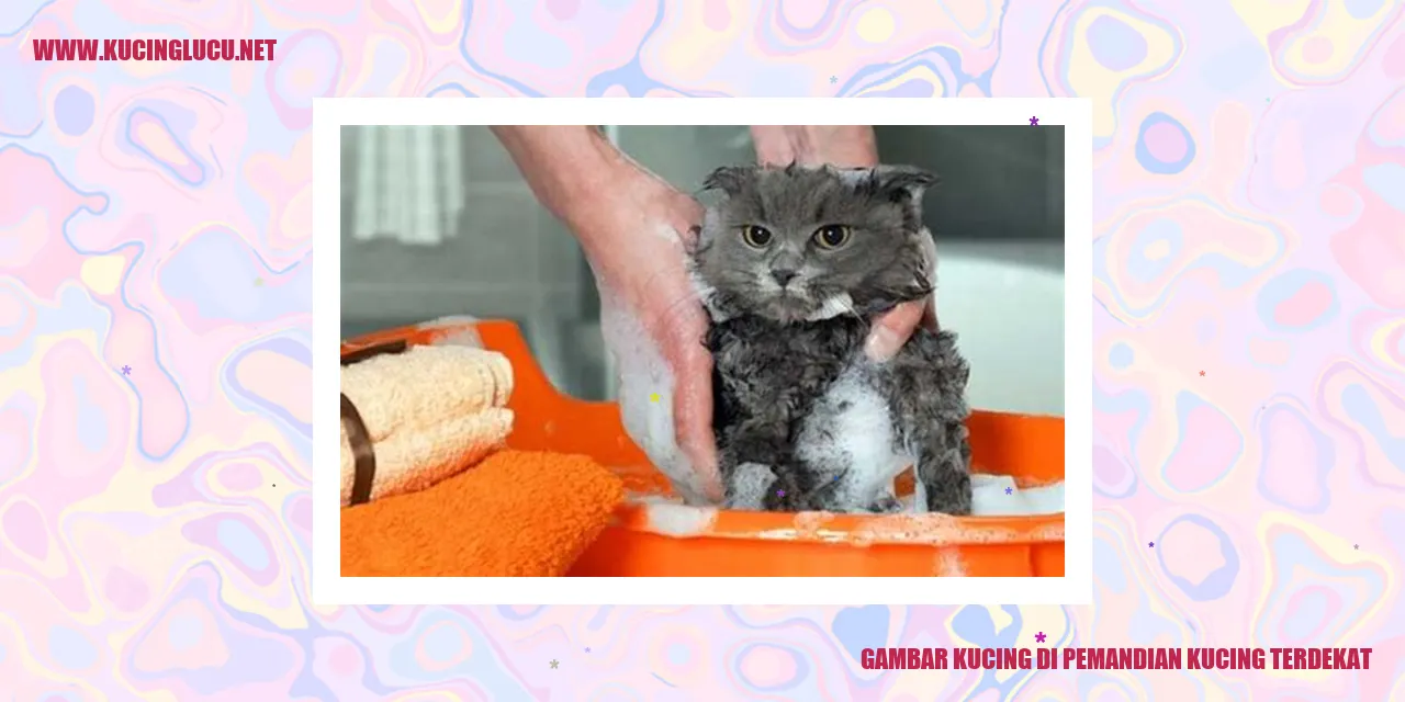 Gambar seekor kucing di tempat mandi kucing