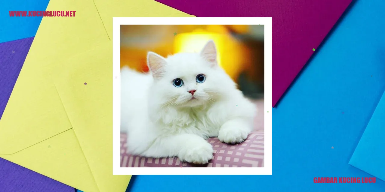 Kucing Menggemaskan