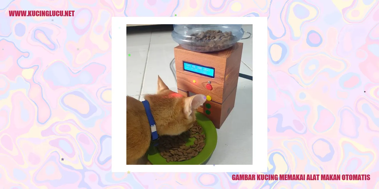 Perilaku kucing menggunakan alat makan otomatis