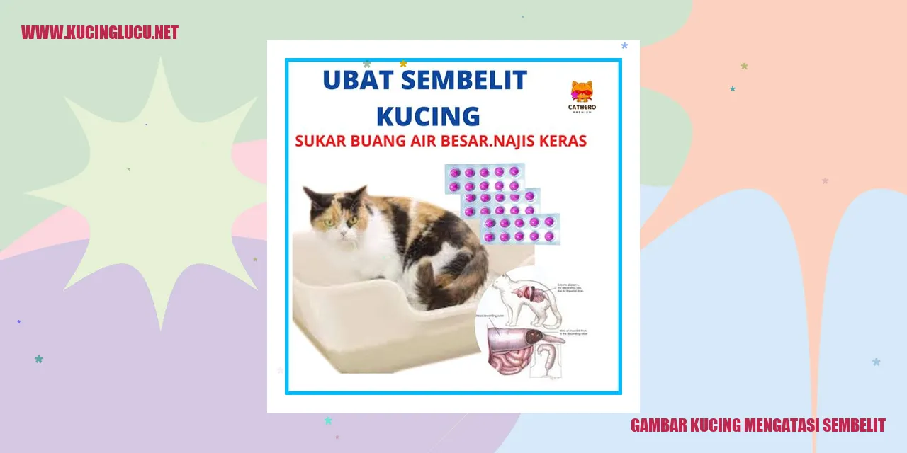 Kucing berusaha mengatasi sembelit