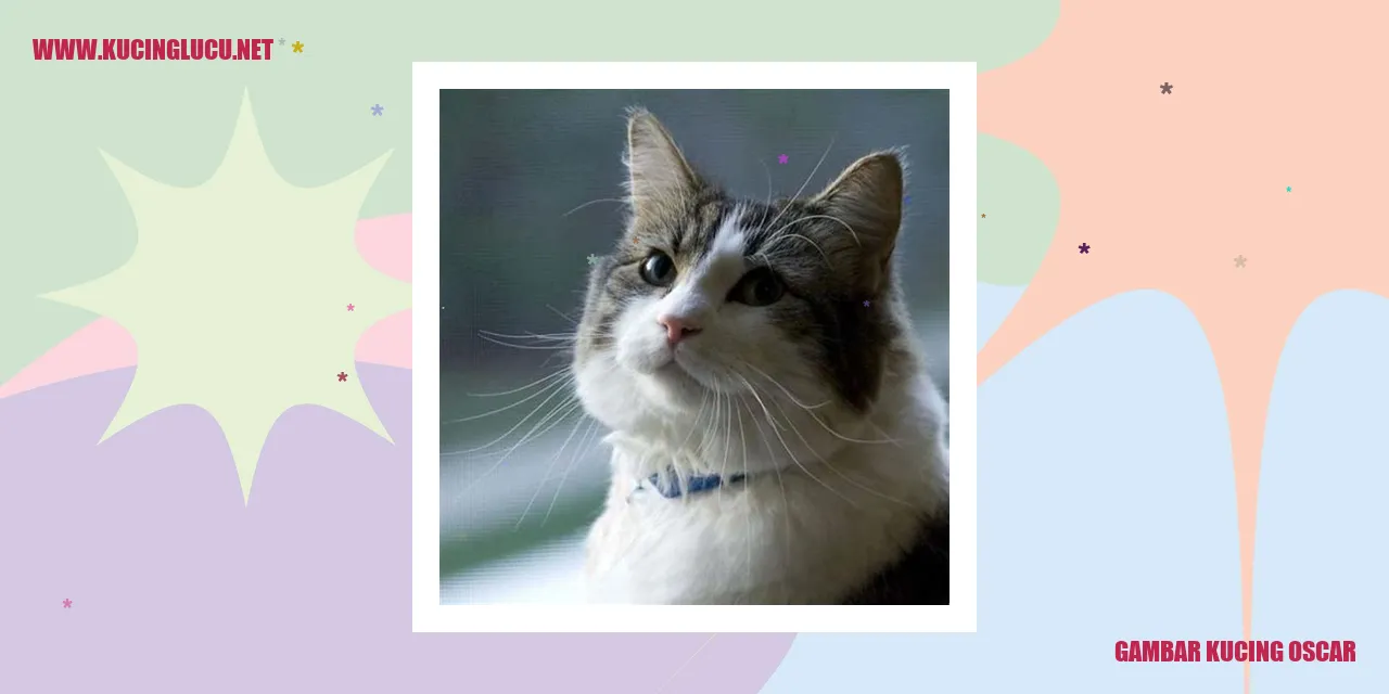 Gambar Kucing Oscar