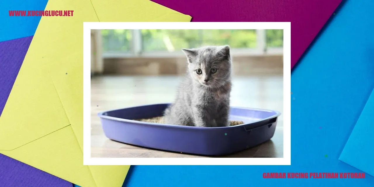 Kucing Menggunakan Tempat Tertentu untuk Buang Air