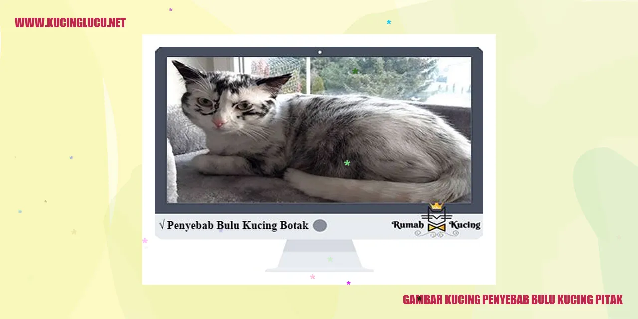 Kucing Penyebab Bulu Kucing Pitak