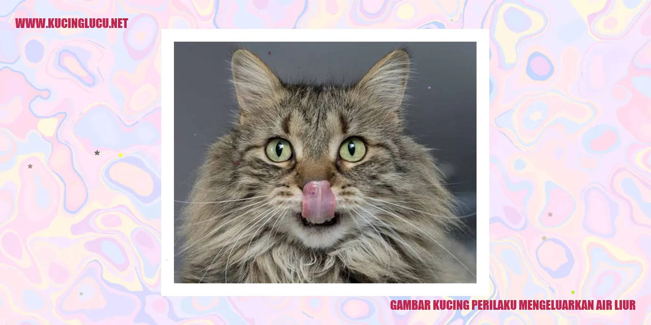 Gambar kucing yang mengeluarkan air liur