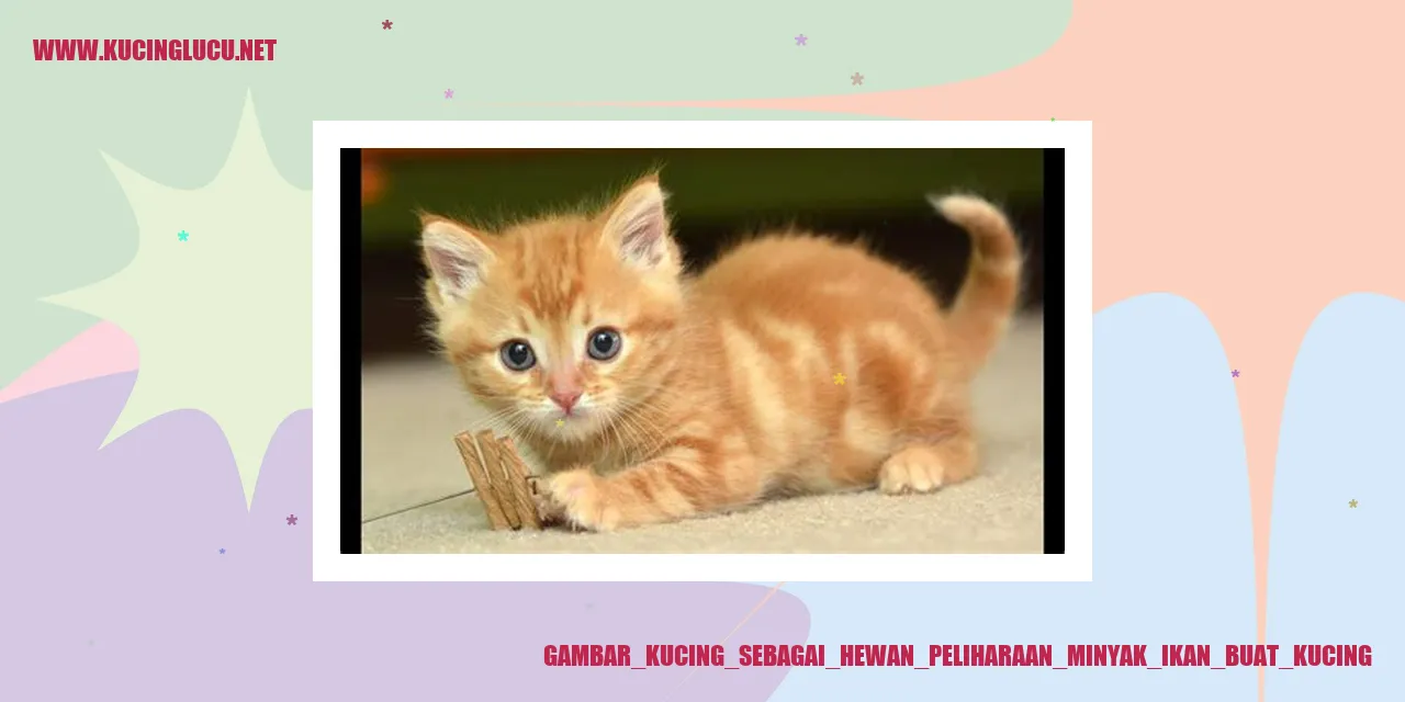 Gambar Kucing sebagai Hewan Peliharaan