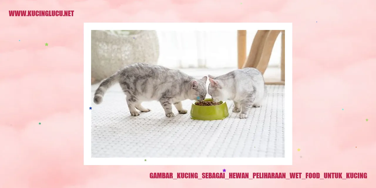 Gambar Kucing