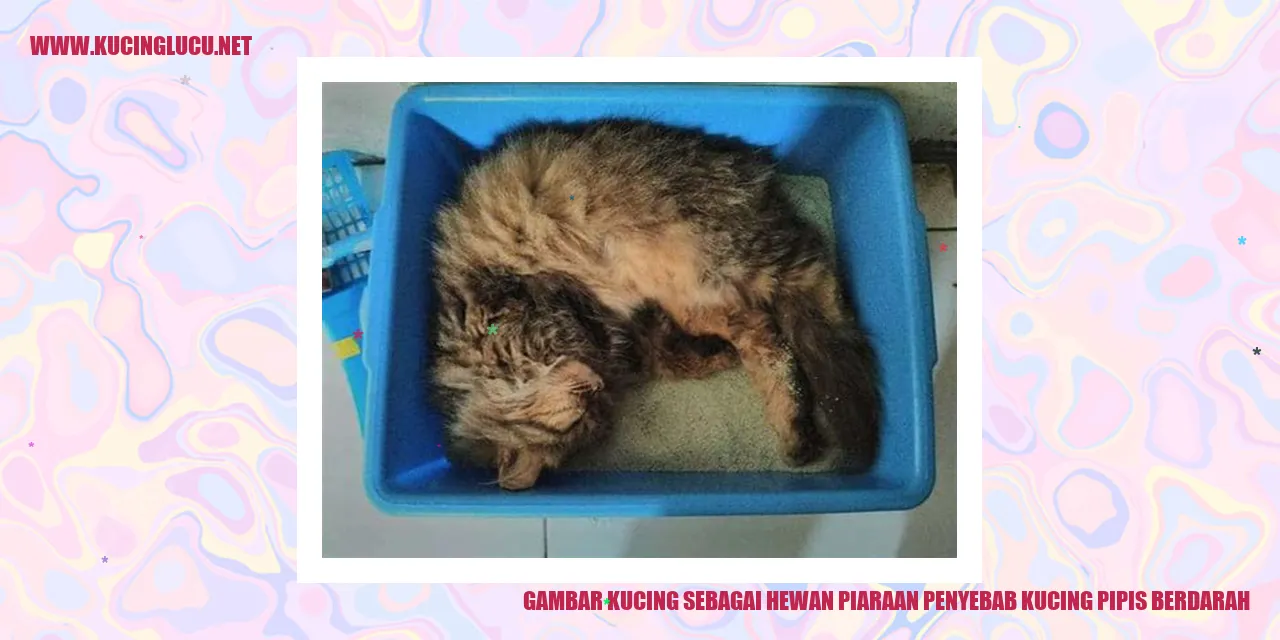 Ilustrasi Kucing