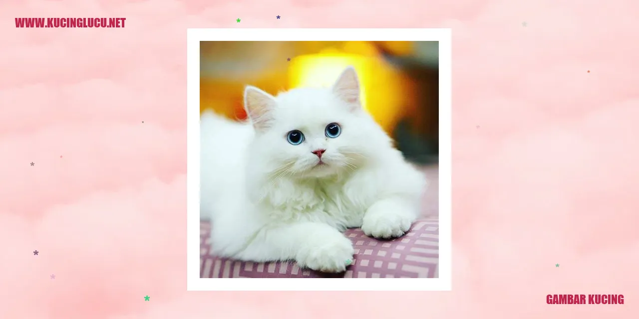 Gambar Kucing