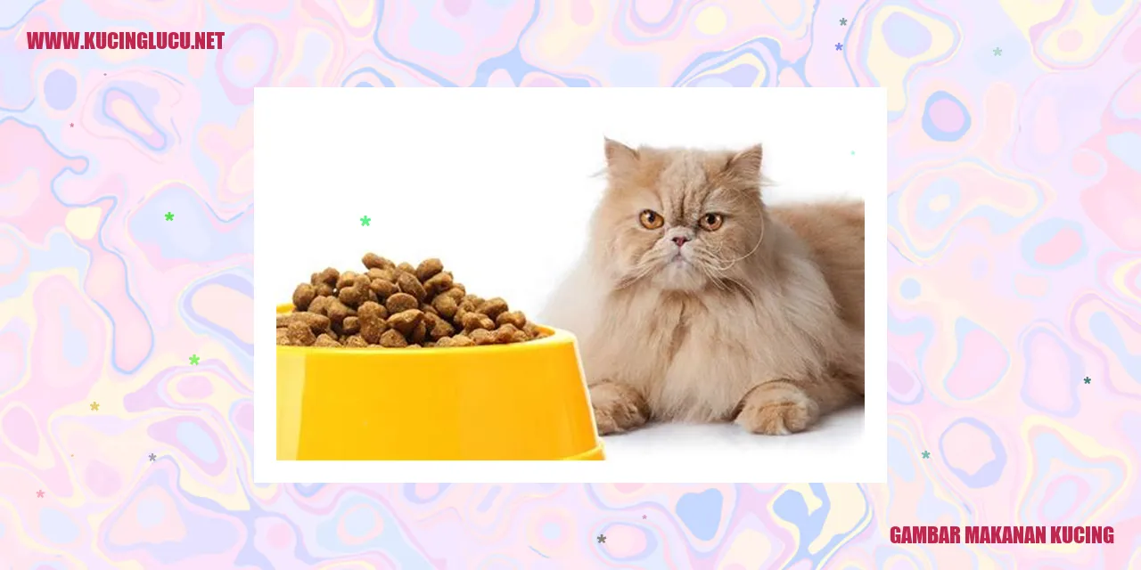 Gambar kucing makan
