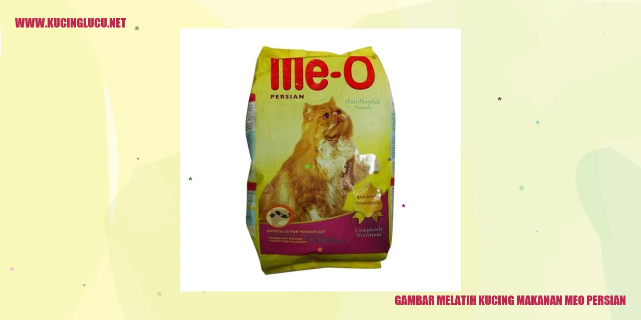 Gambar Kucing Meo Persian