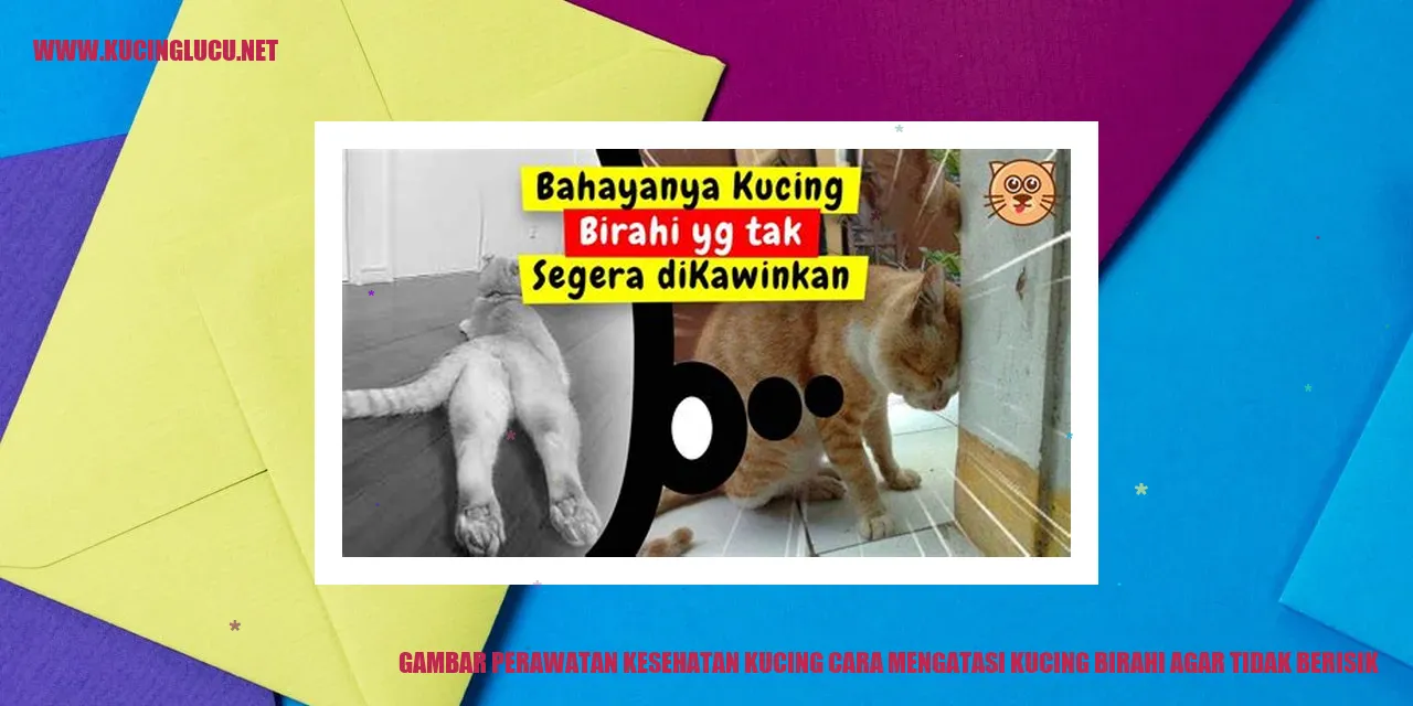Gambar Kucing yang Sehat