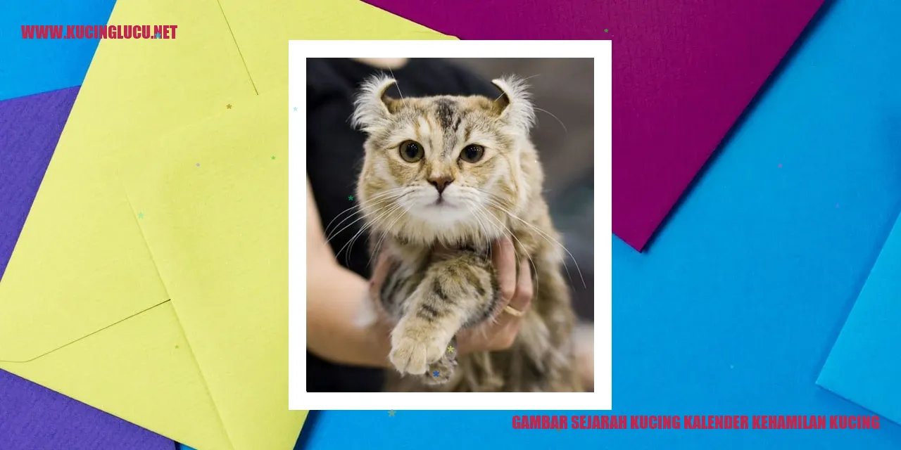 Gambar Sejarah Kucing Kalender Kehamilan Kucing