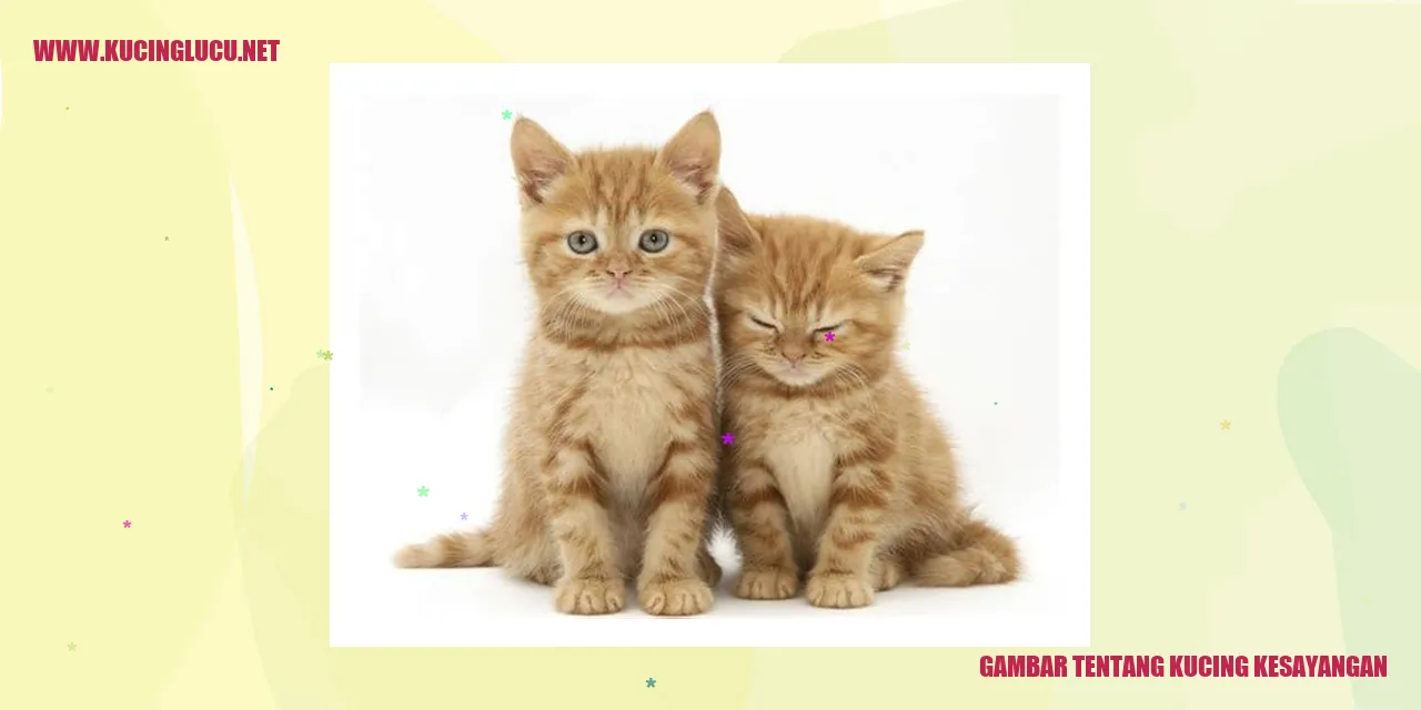 Potret Kucing yang Menggemaskan