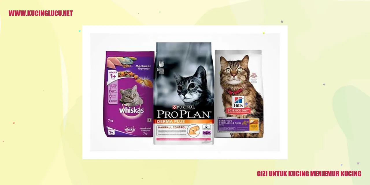 Gambar Makanan Kucing Menjemur Kucing yang Tepat