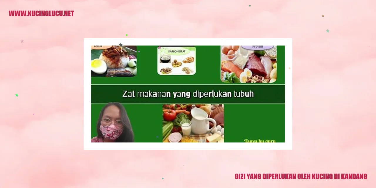 Gambar kucing di kandang