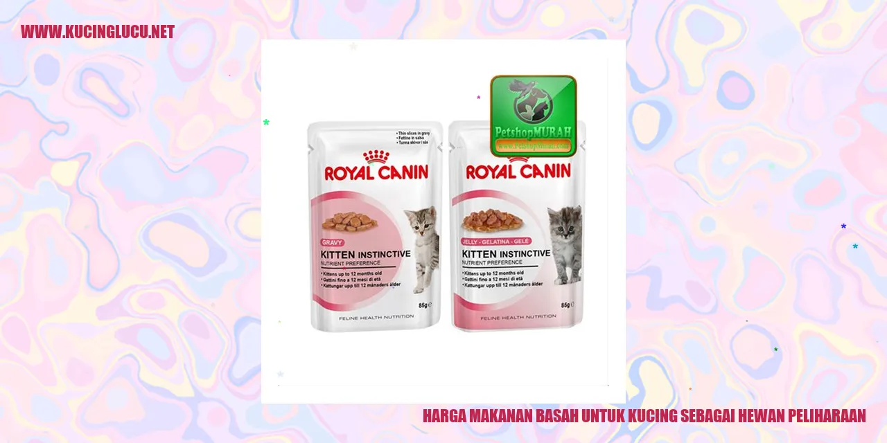 Gambar Kucing