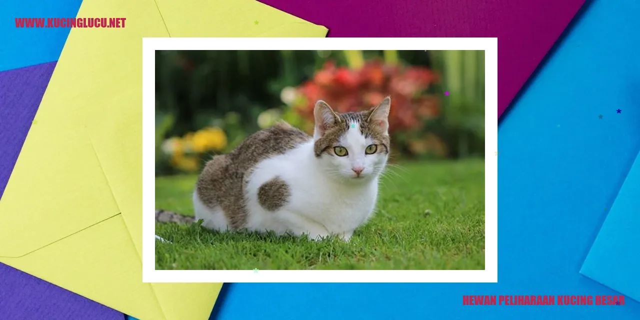 Kucing sebagai Hewan Peliharaan