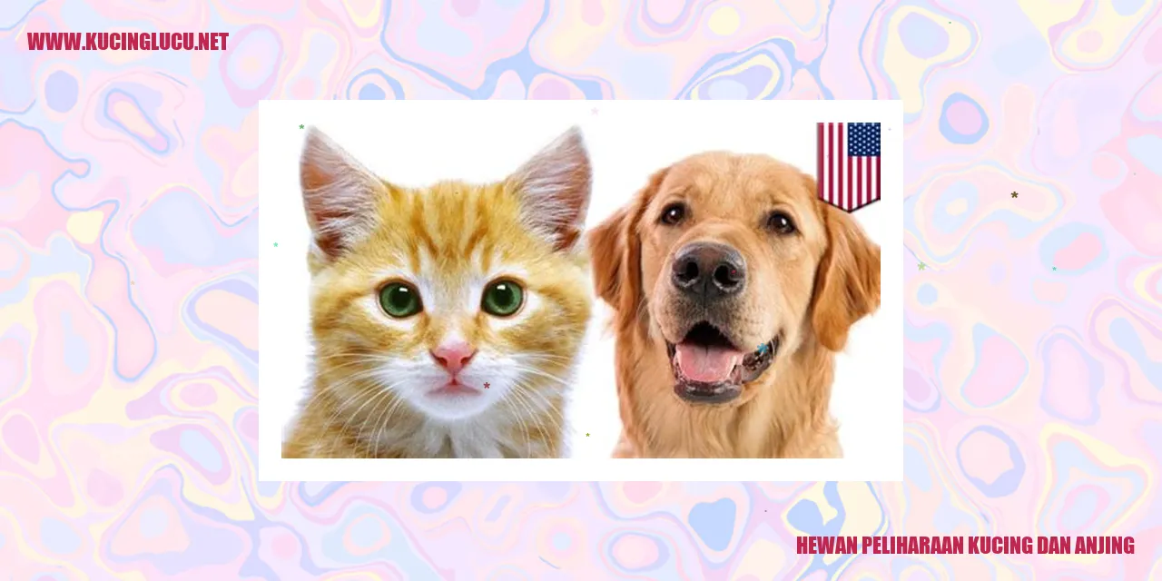 Keakraban Kucing dan Anjing