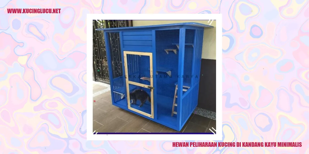 Kucing dalam Hunian Kayu yang Sederhana
