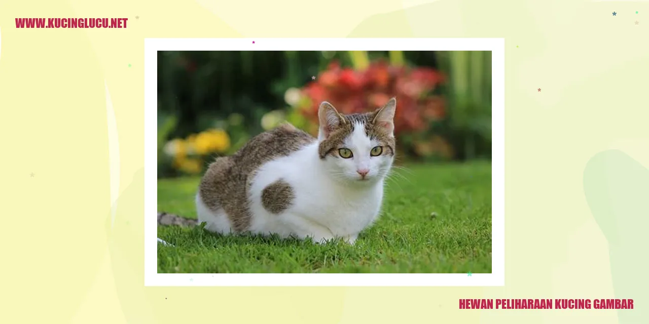Ilustrasi Kucing Sebagai Hewan Peliharaan