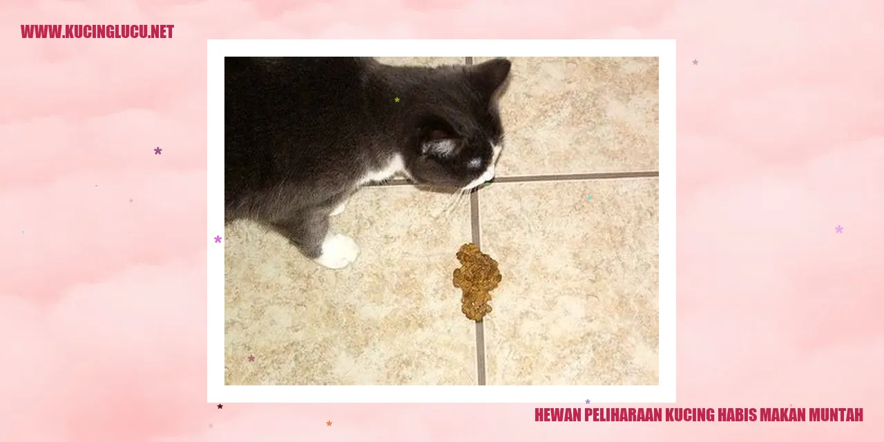Gambar kucing mual setelah makan