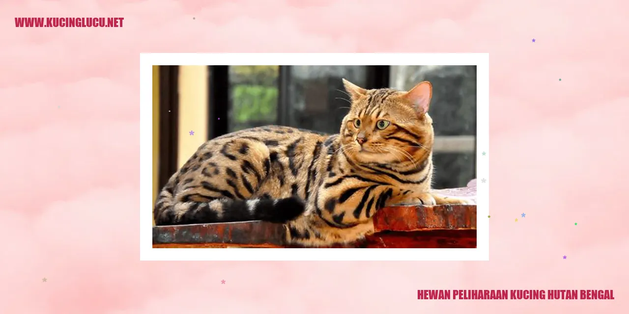 Foto Kucing Bengal yang Menggemaskan