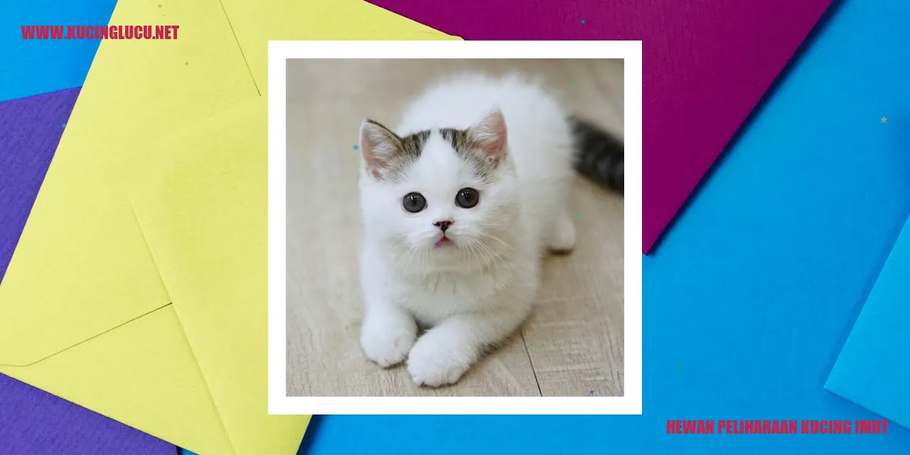 Kucing sebagai Hewan Peliharaan