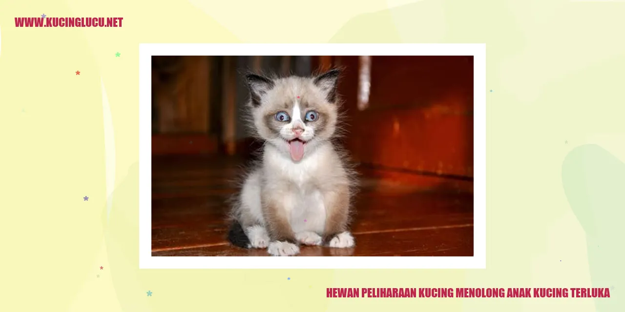 Kucing sebagai Peliharaan Penolong Pertama untuk Anak Kucing Terluka